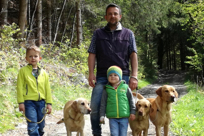 Der angenehme Familienhund